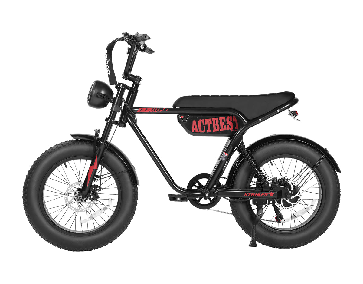 Striker 20"x4.0" Moped-Style E-Bike