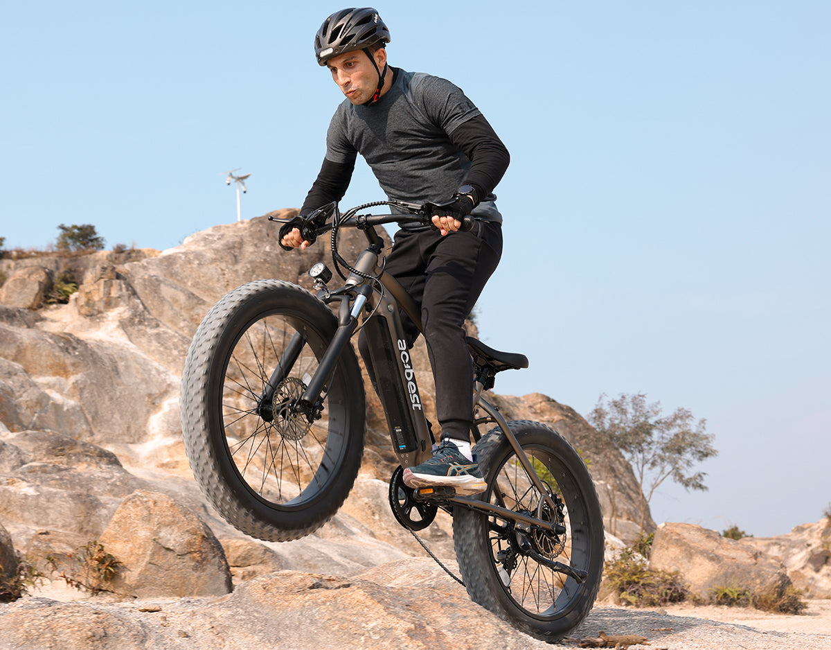 Ranger All-Terrain Mountain Ebike