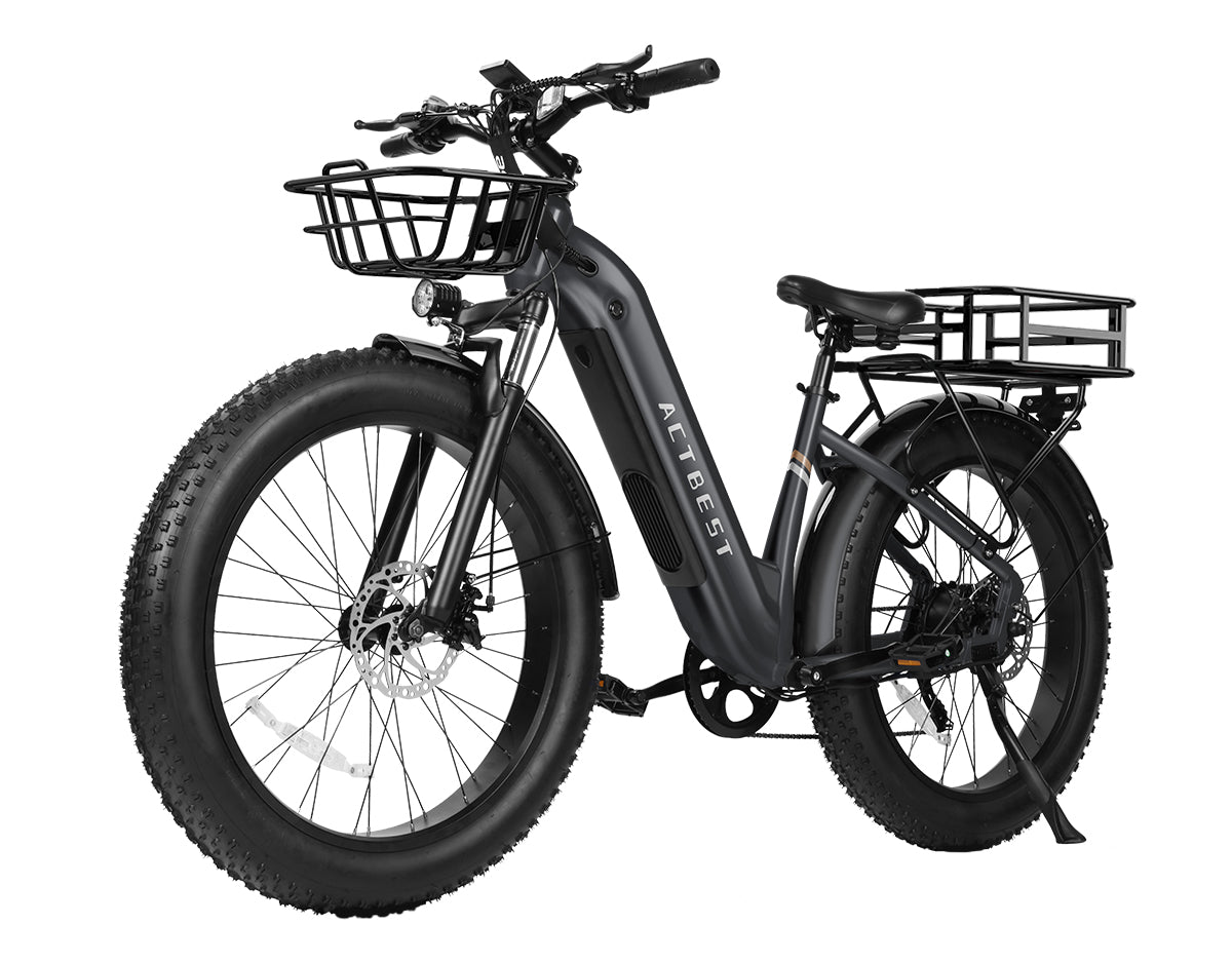 Ranger ST 2.0 All-Terrain Mountain Ebike