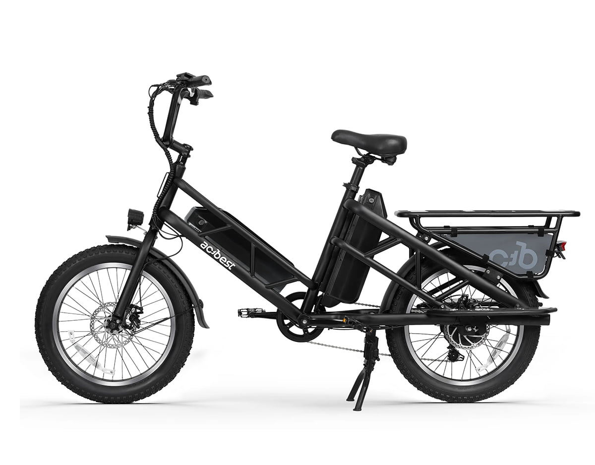 Electric Cargo Long-Range eBike
