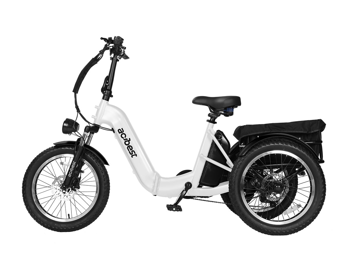 Triker Folding 3 Wheels Electric Bike