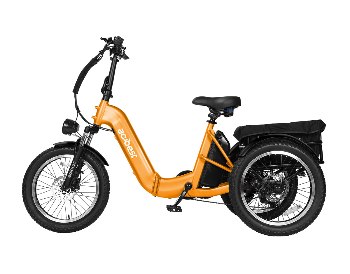 Triker Folding 3 Wheels Electric Bike