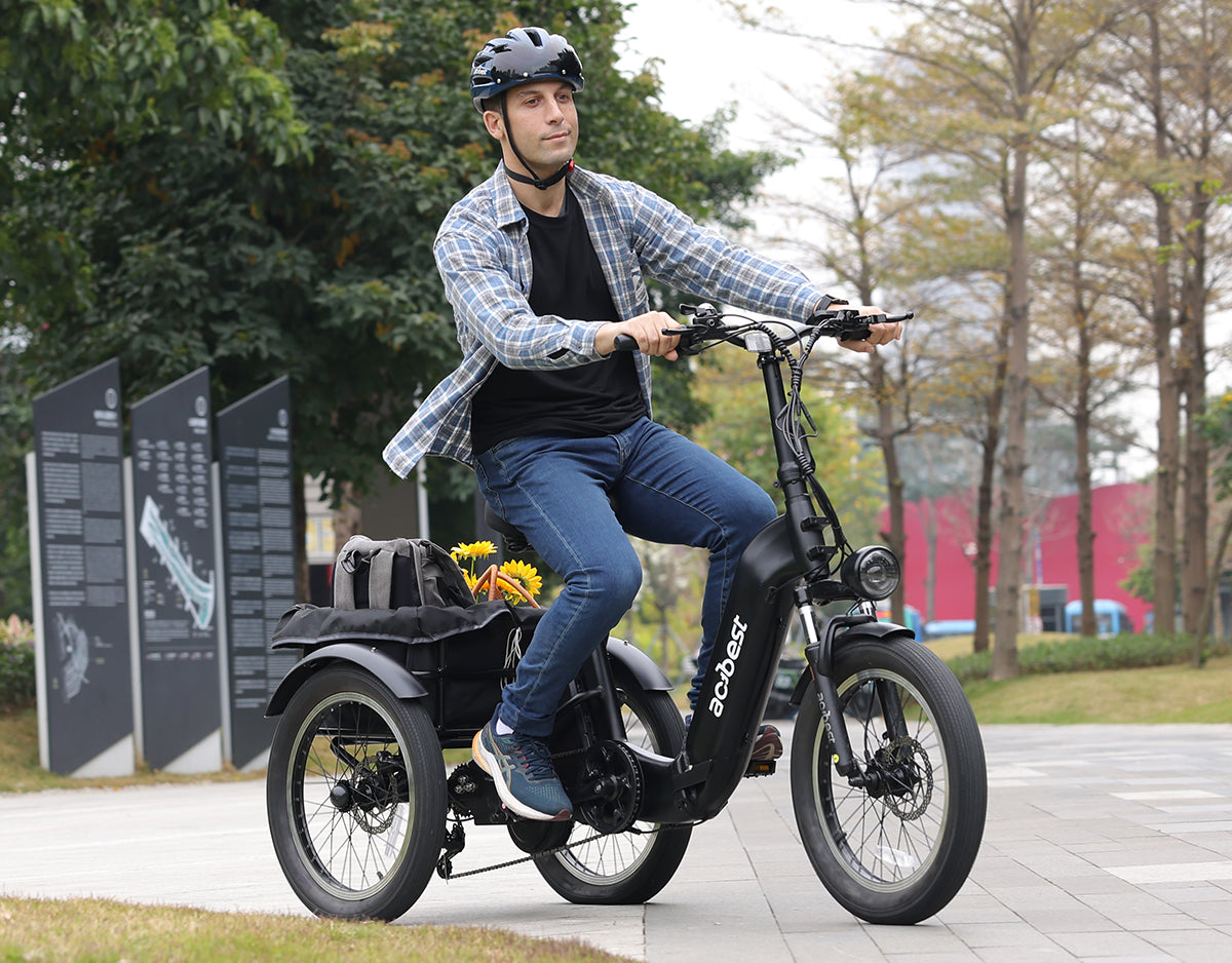 Triker Folding 3 Wheels Electric Bike