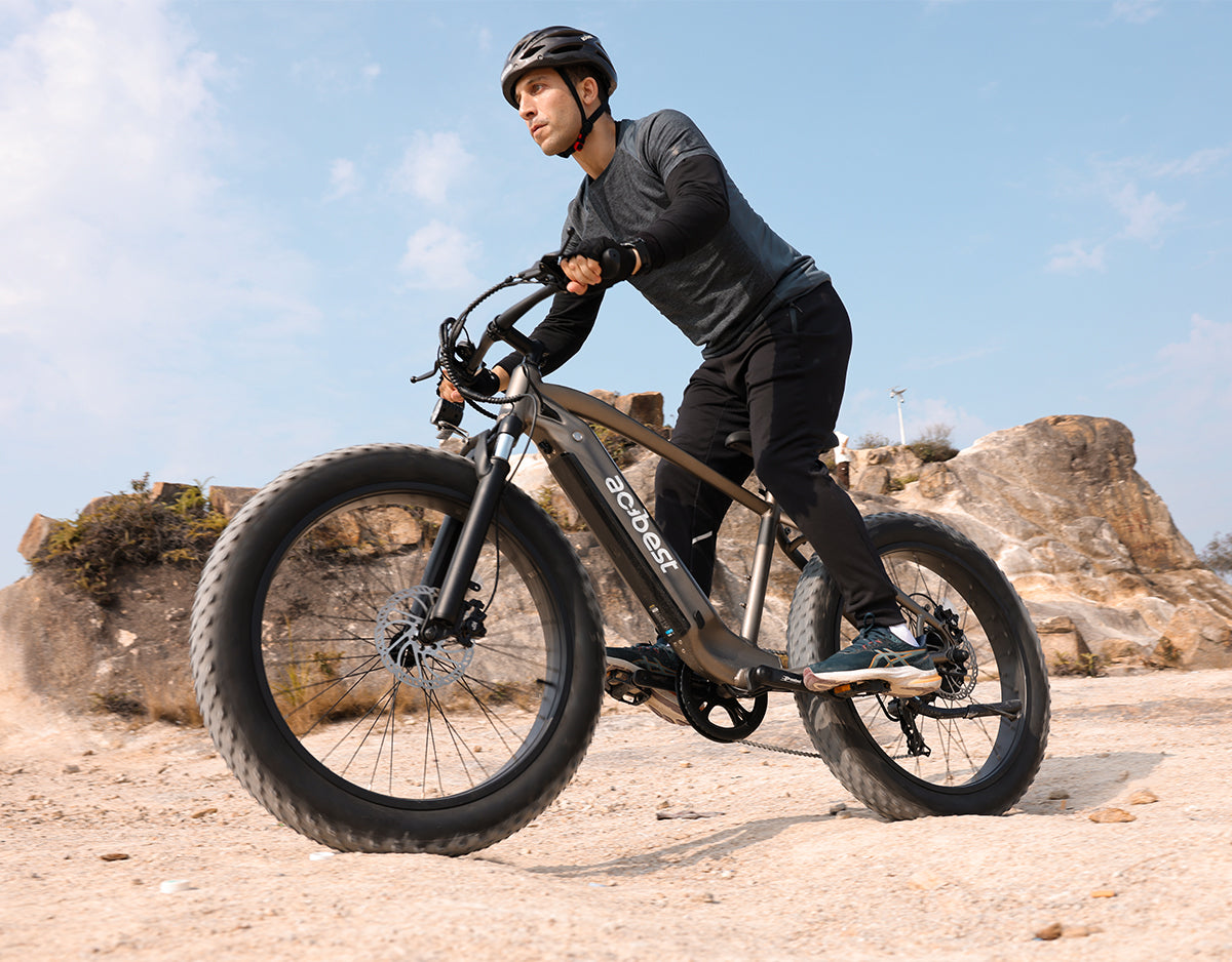 Ranger All-Terrain Mountain Ebike