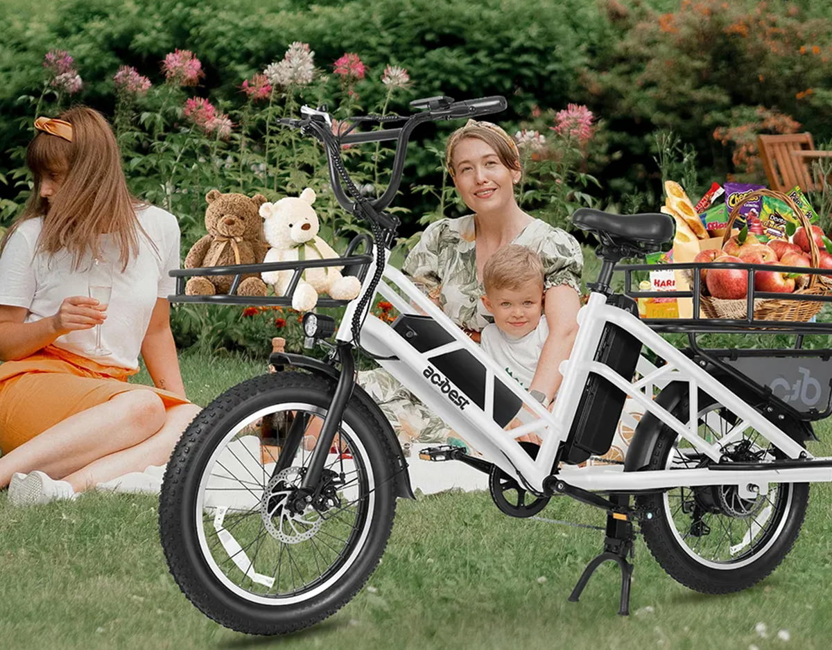 Electric Cargo Long-Range eBike