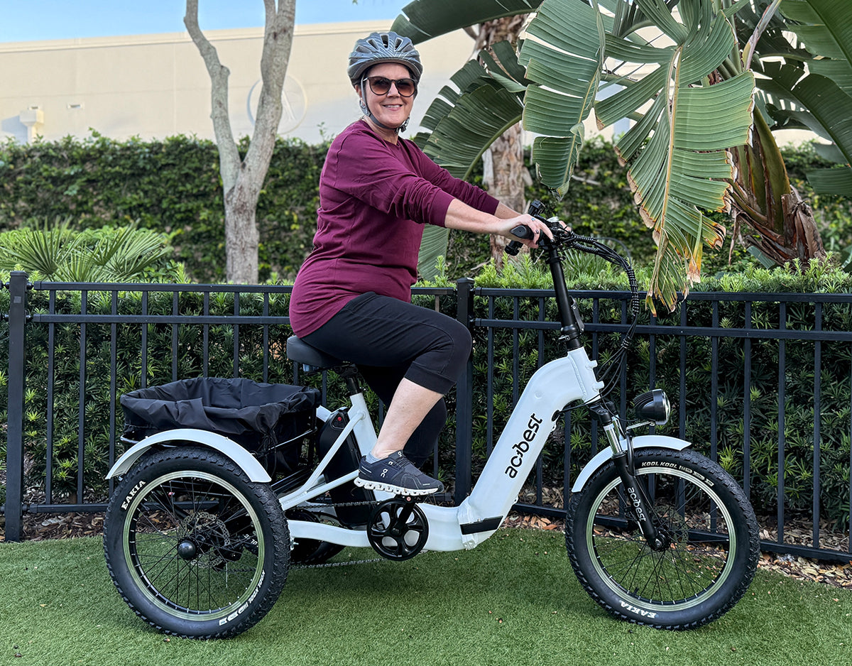Triker Folding 3 Wheels Electric Bike