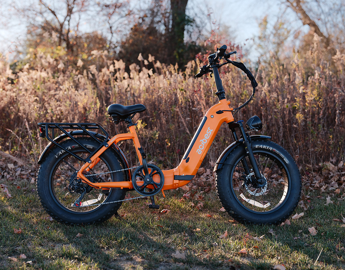 Knight Cargo Step Through Electric Bike