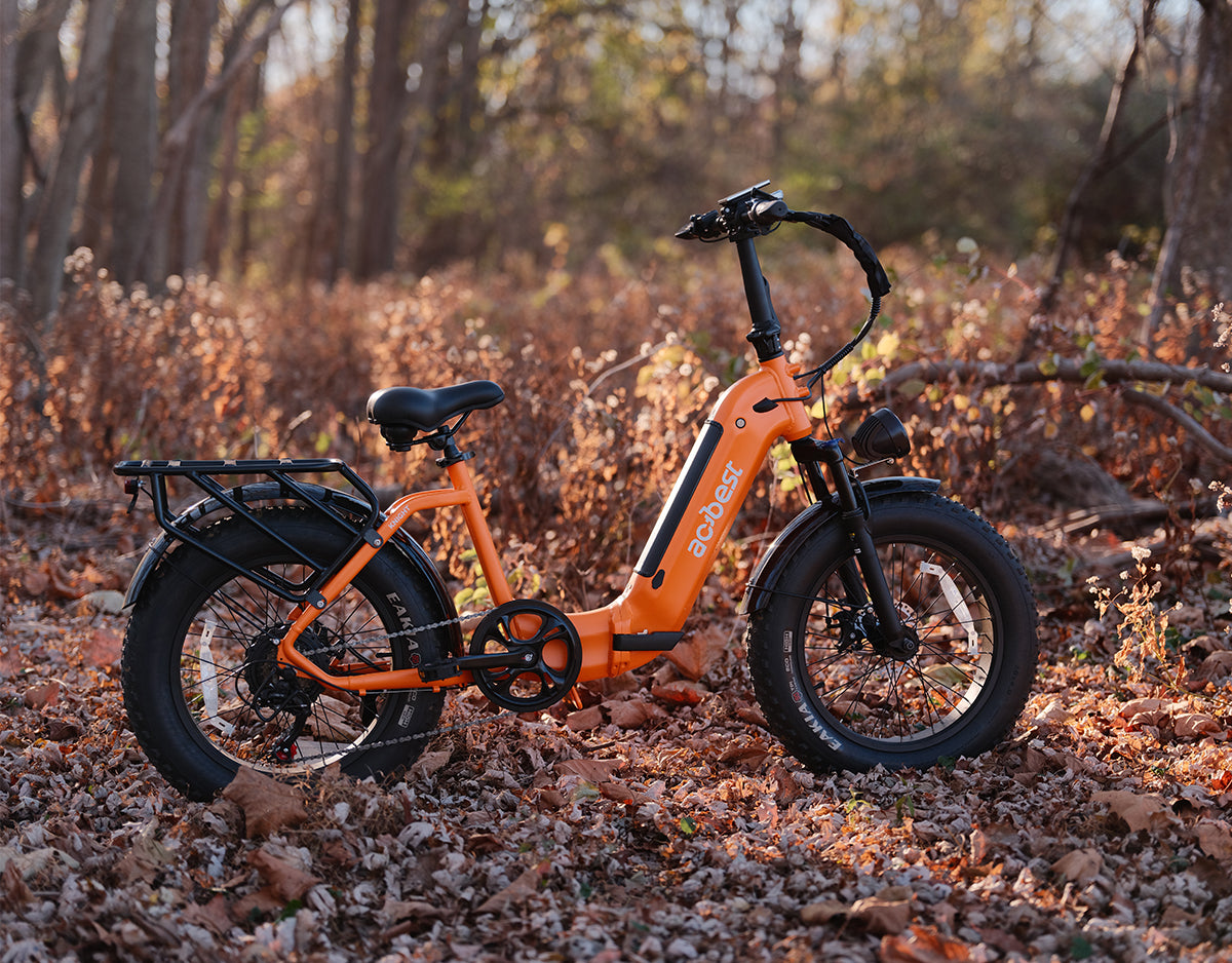 Knight Cargo Step Through Electric Bike