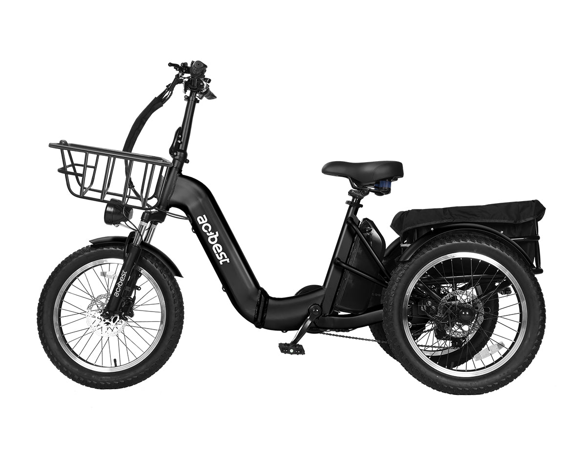 Triker Folding 3 Wheels Electric Bike
