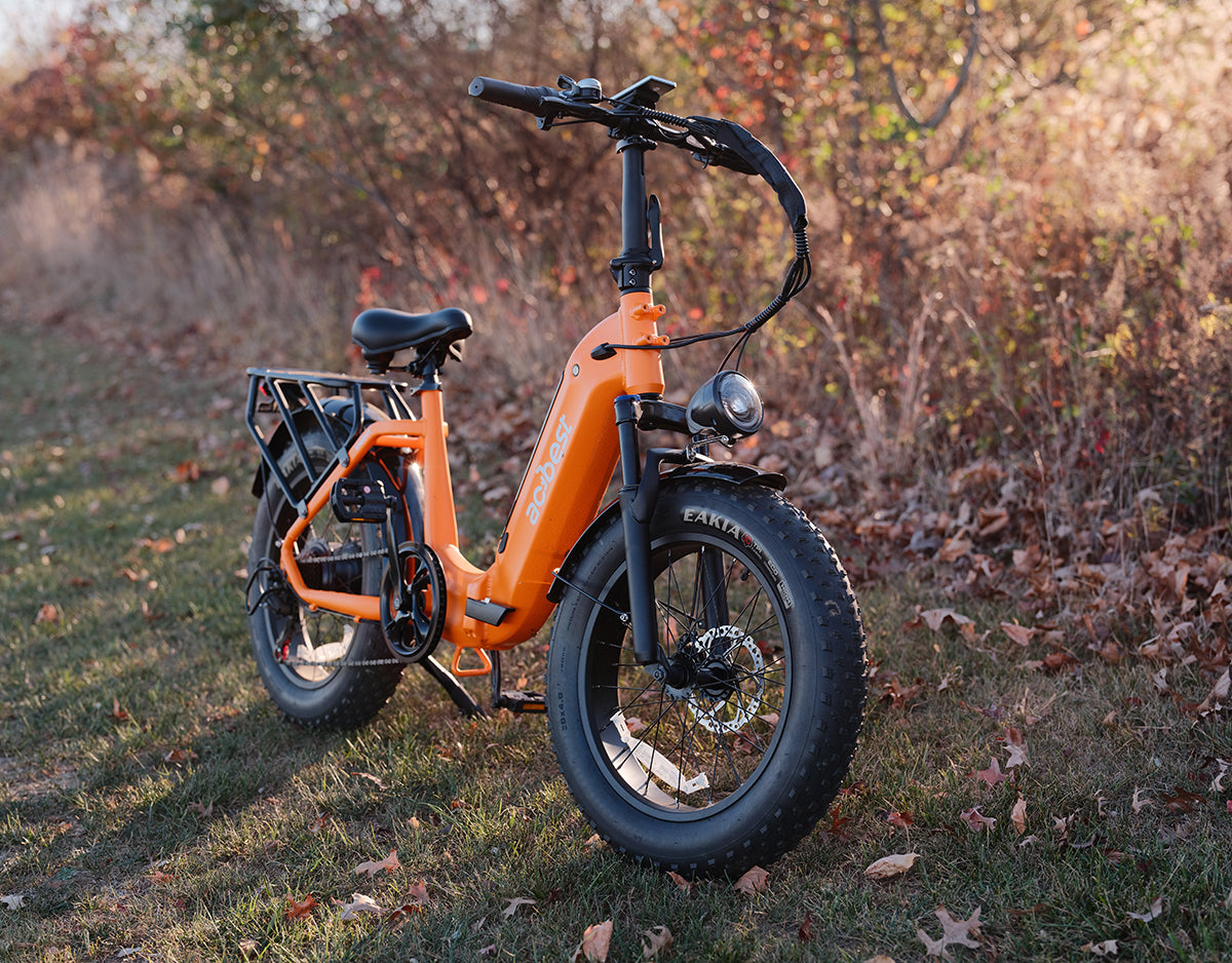 Knight Cargo Step Through Electric Bike
