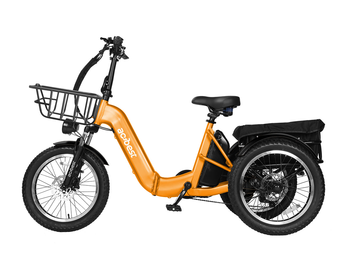 Triker Folding 3 Wheels Electric Bike