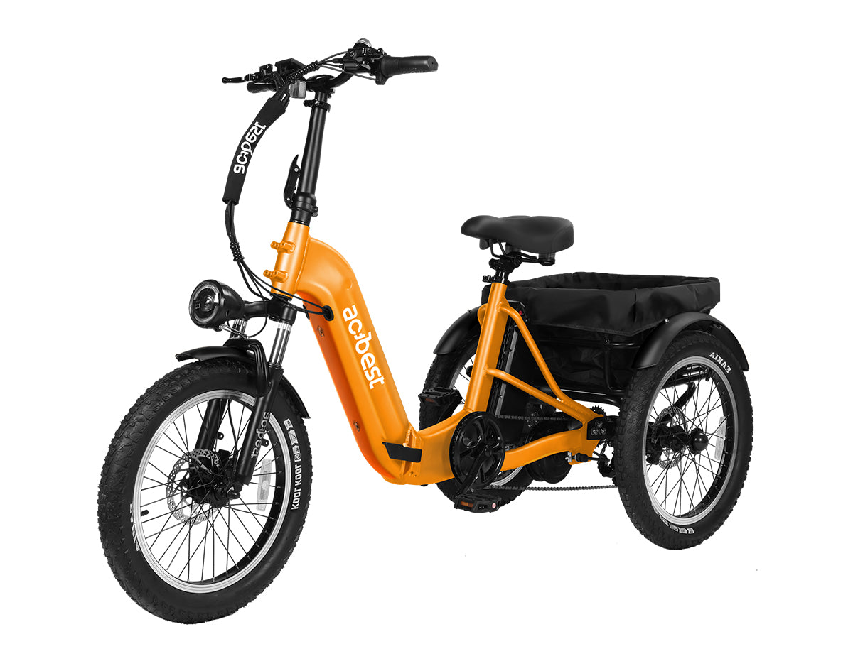 Triker Folding 3 Wheels Electric Bike