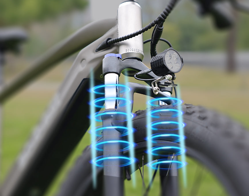 Adjustable front fork suspension