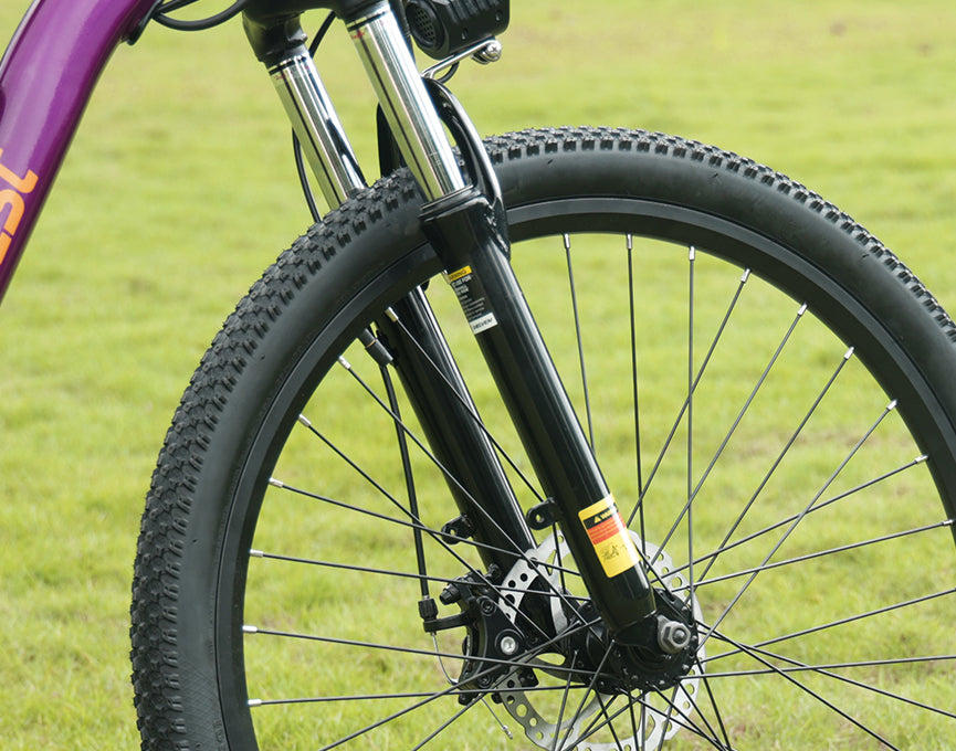 Fork Suspension