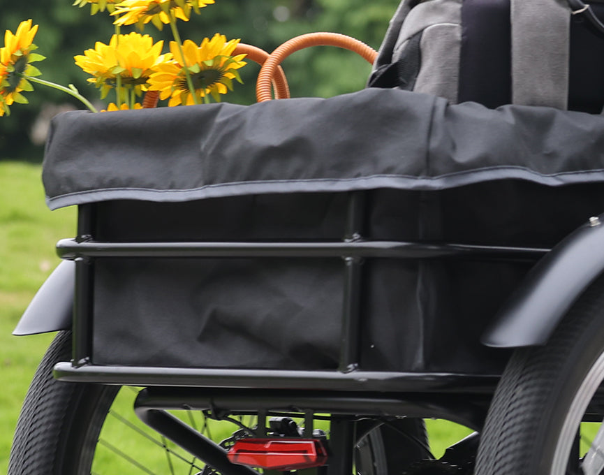 Expansive Rear Rack