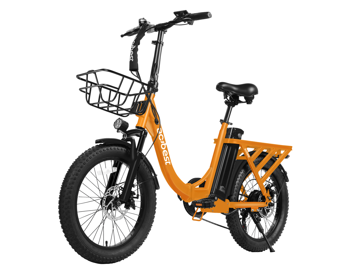 Mars Folding Electric Bike for Adults