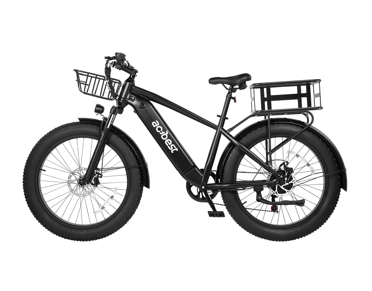 Ranger All-Terrain Mountain Ebike