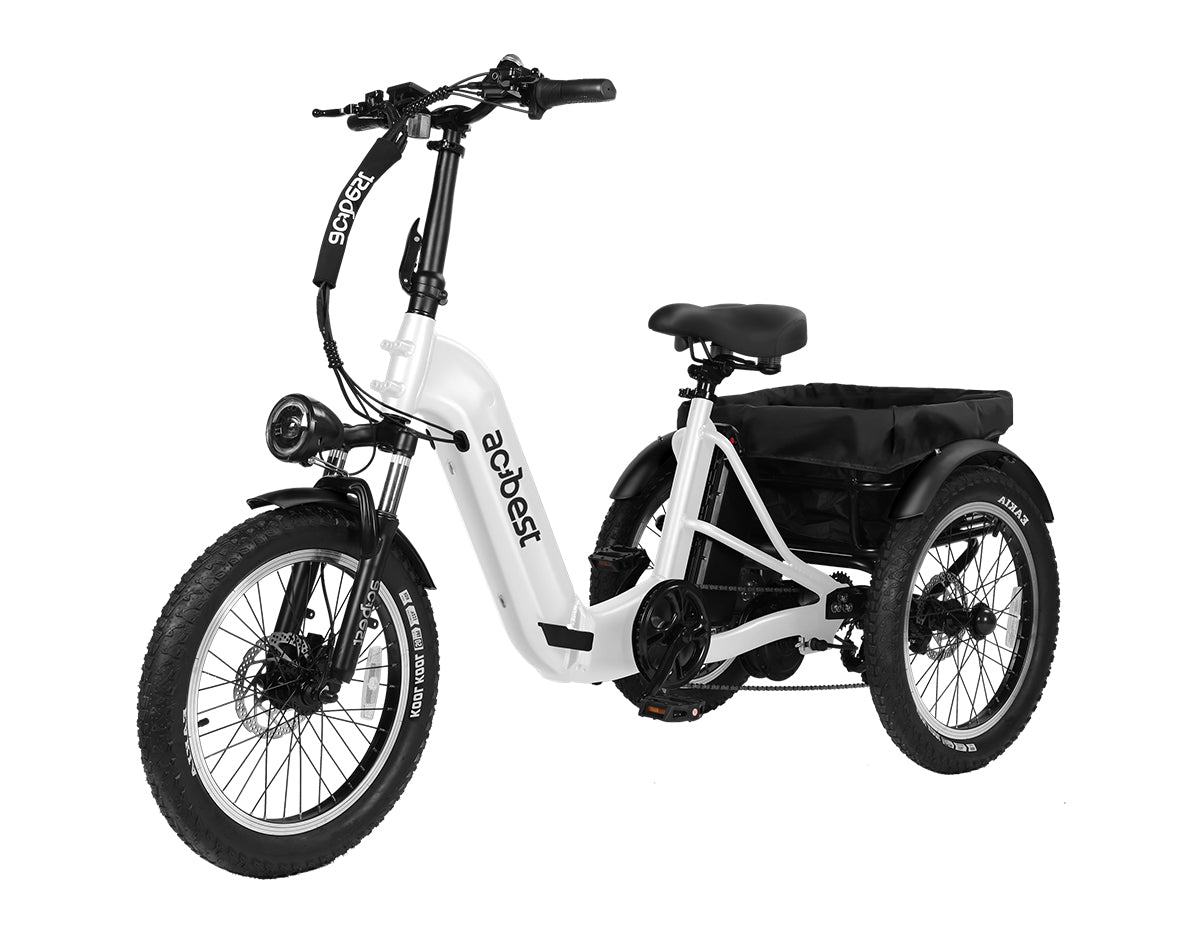 Triker Folding 3 Wheels Electric Bike