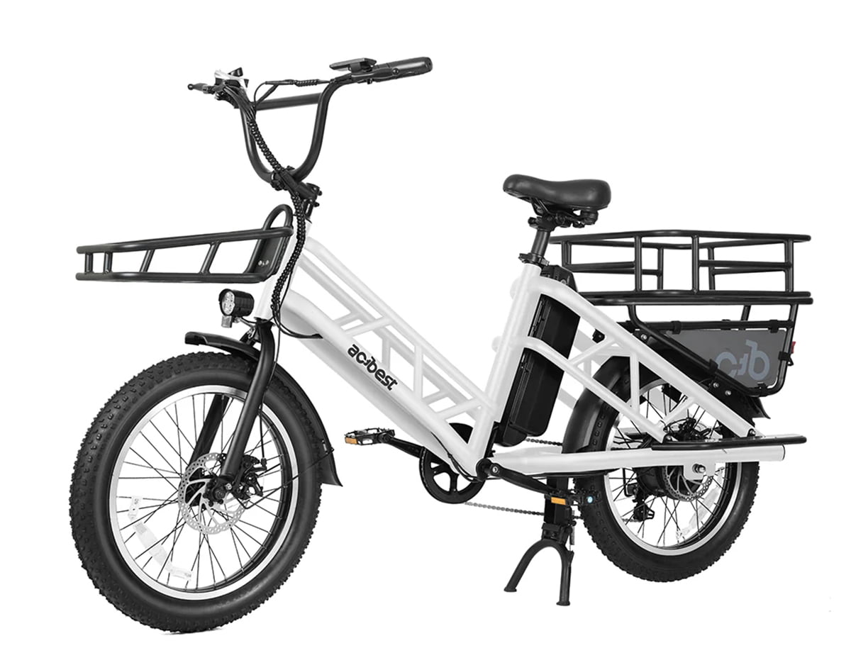 Electric Cargo Long-Range eBike