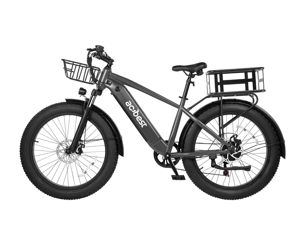 Ranger All-Terrain Mountain Ebike