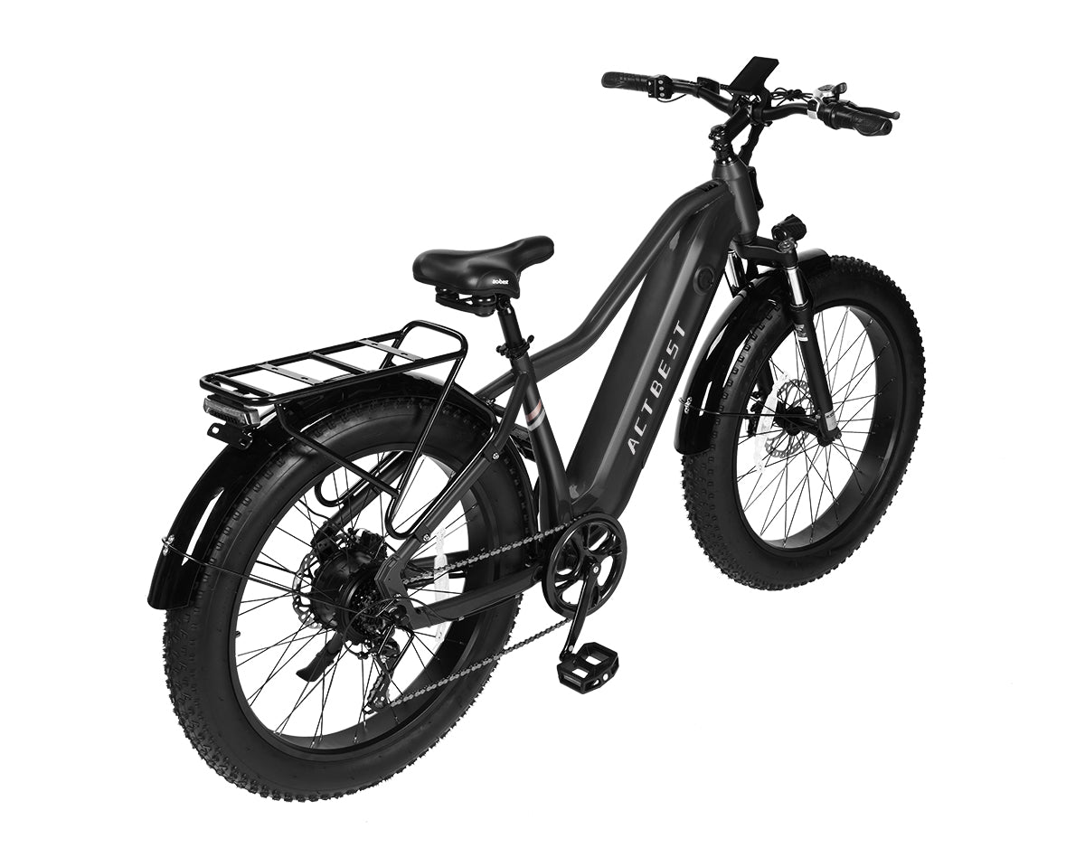 Ranger 2.0 Step-Over Mountain Ebike