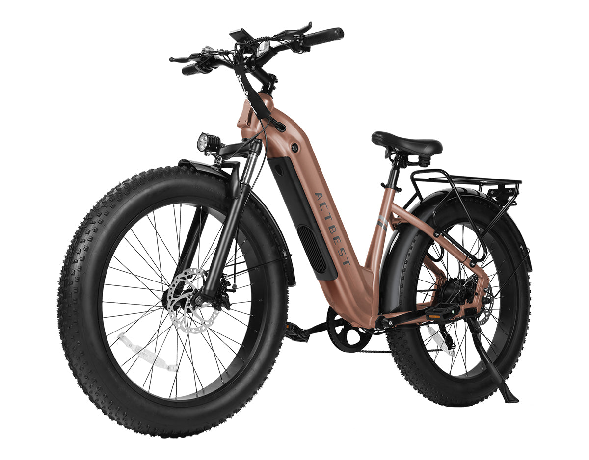 Ranger ST 2.0 All-Terrain Mountain Ebike