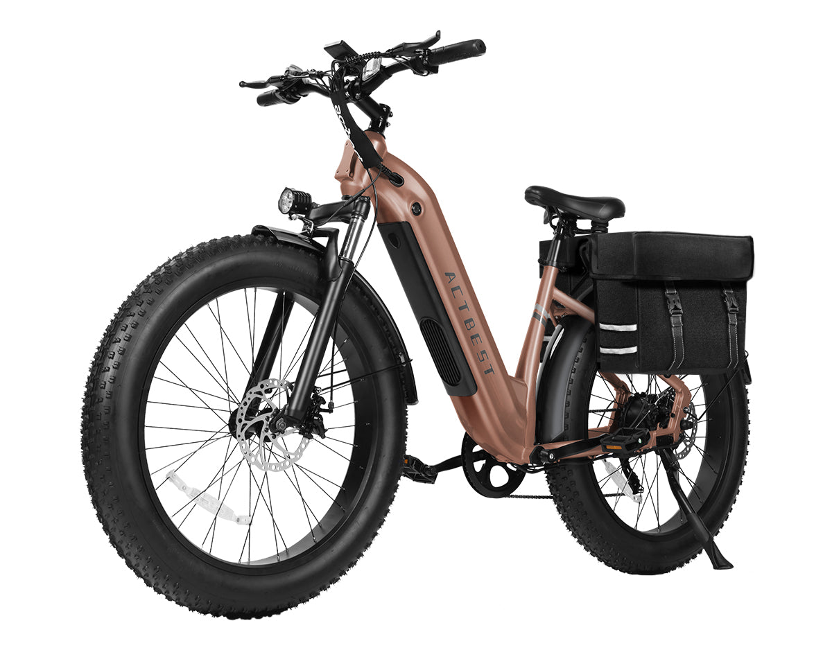 Ranger ST 2.0 All-Terrain Mountain Ebike