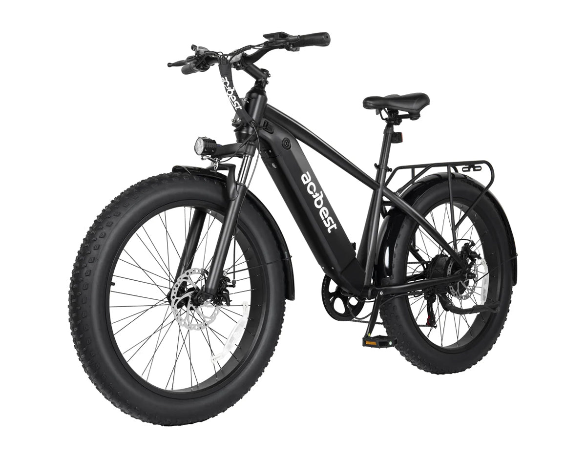 Ranger All-Terrain Mountain Ebike