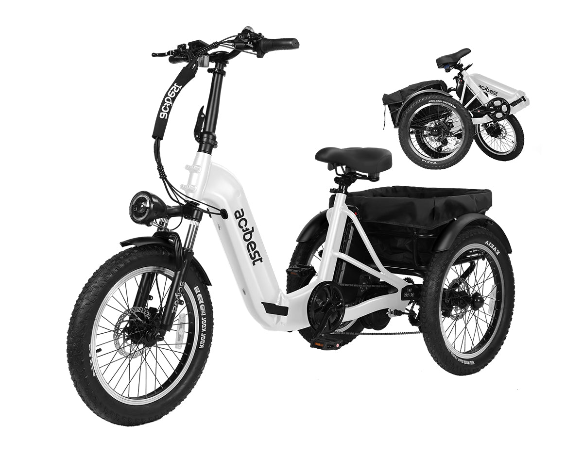 Triker Folding 3 Wheels Electric Bike