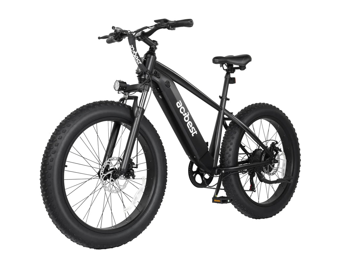 Ranger All-Terrain Mountain Ebike