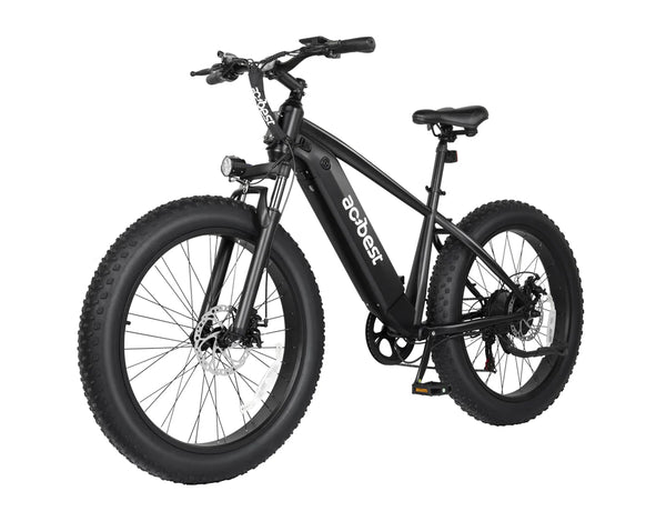 Ranger All-Terrain Electric Mountain Bike