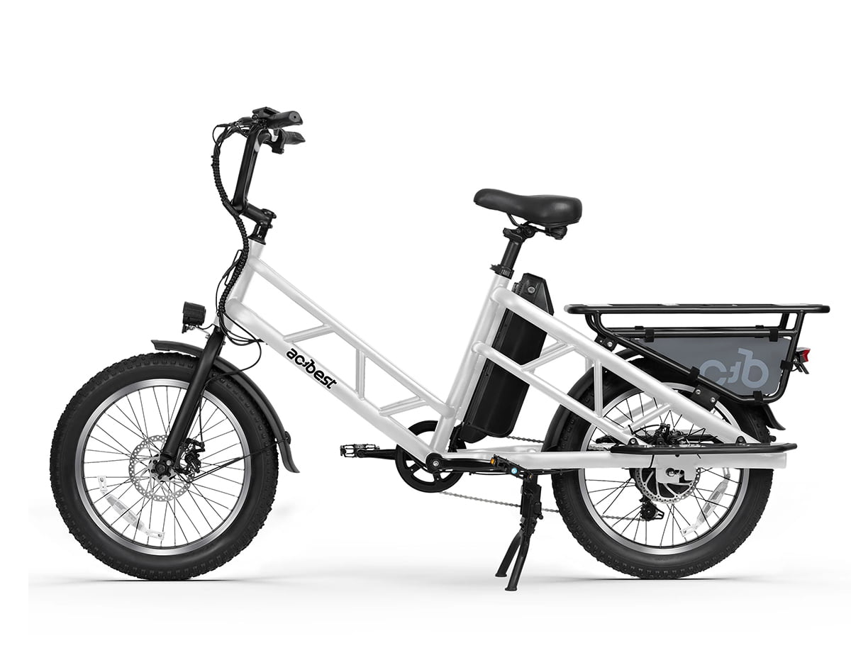 Electric Cargo Long-Range eBike