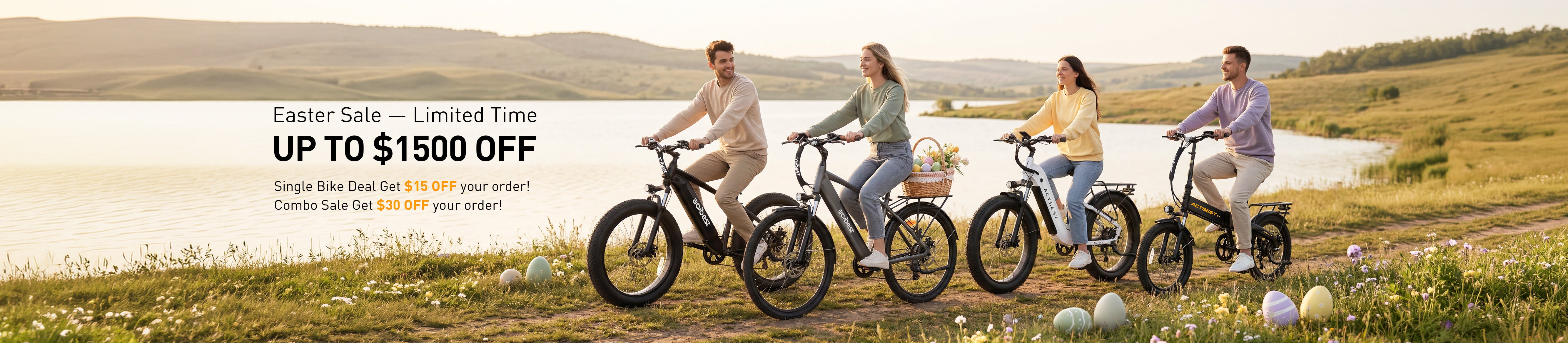 Fat Tire Electric Bike