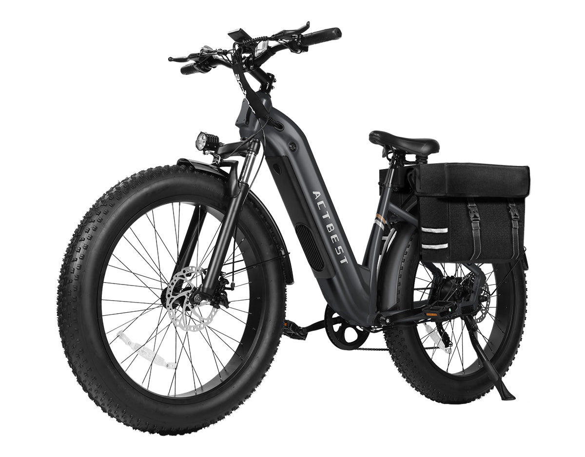 Ranger ST 2.0 All-Terrain Mountain Ebike