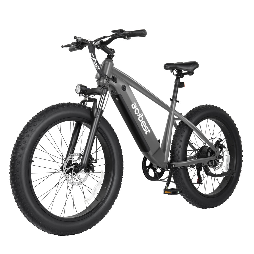 Ranger All-Terrain Mountain Ebike