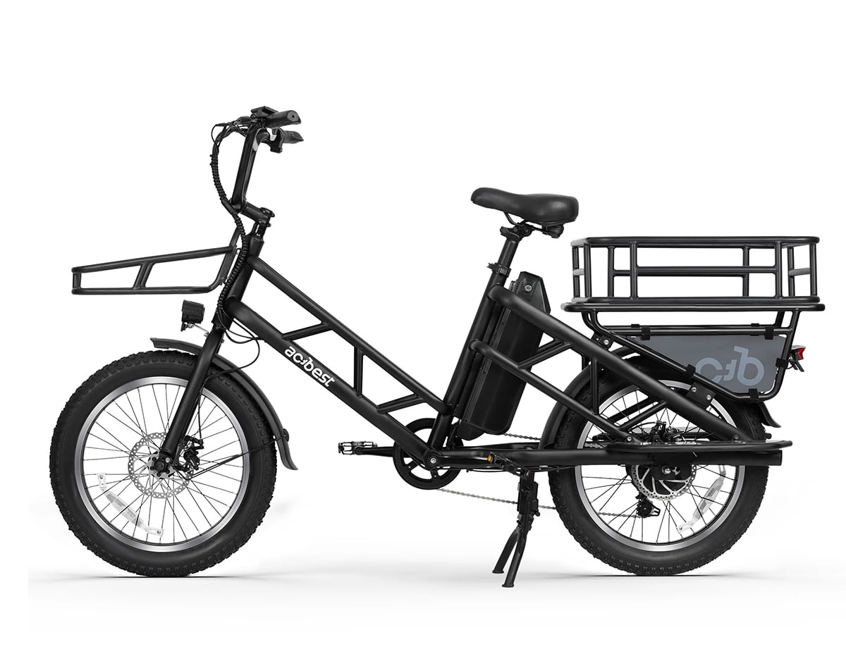 Electric Cargo Long-Range eBike