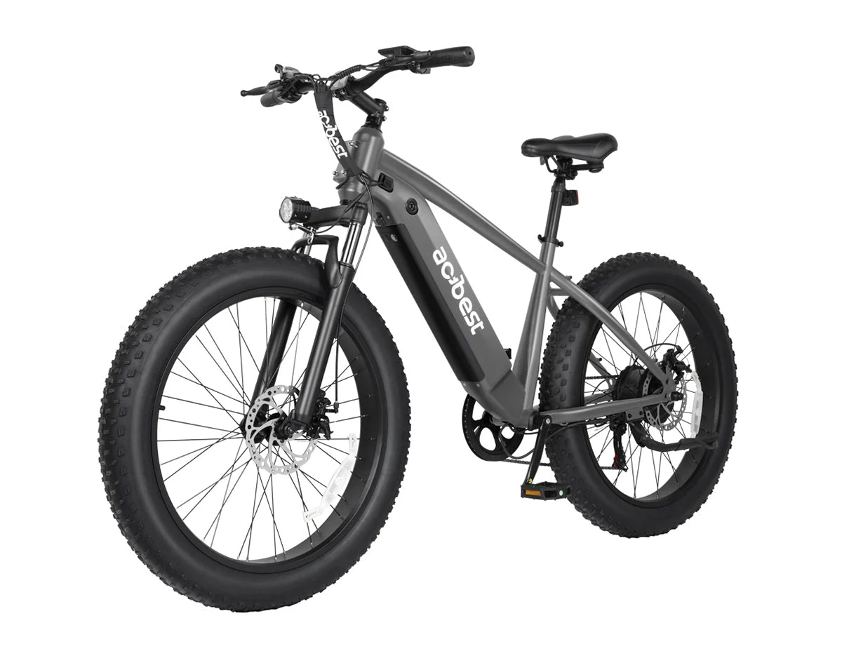 Ranger All-Terrain Mountain Ebike