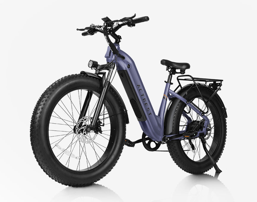 1* Ranger Ebike