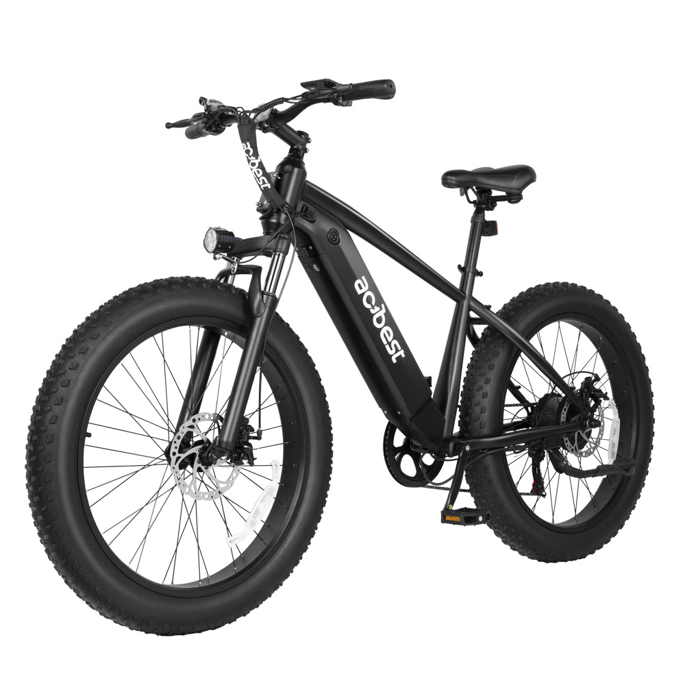 Ranger All-Terrain Mountain Ebike