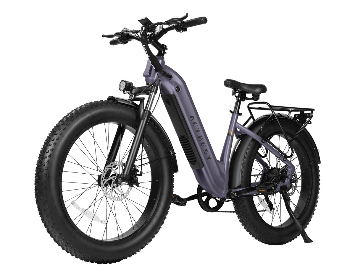 Ranger ST 2.0 All-Terrain Mountain Ebike