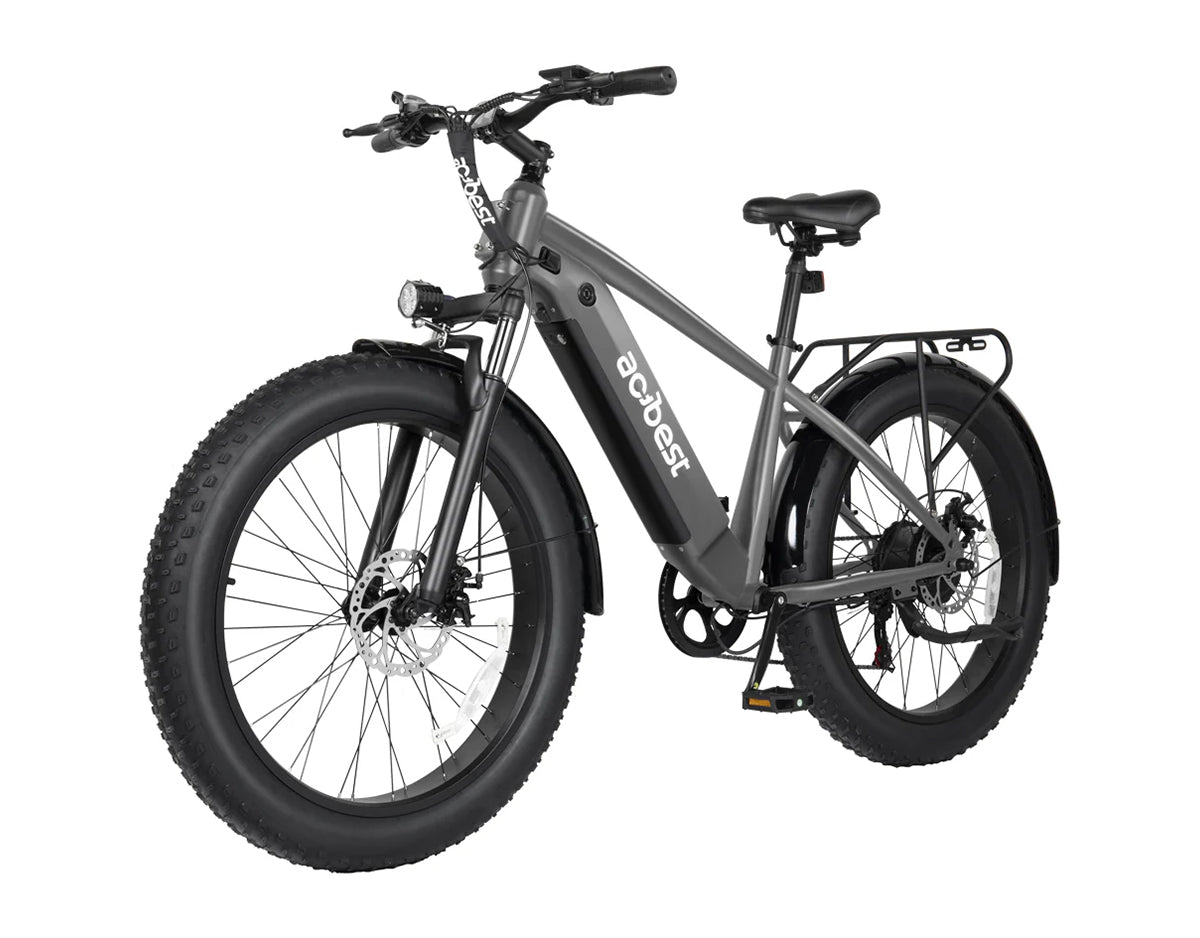 Ranger All-Terrain Mountain Ebike