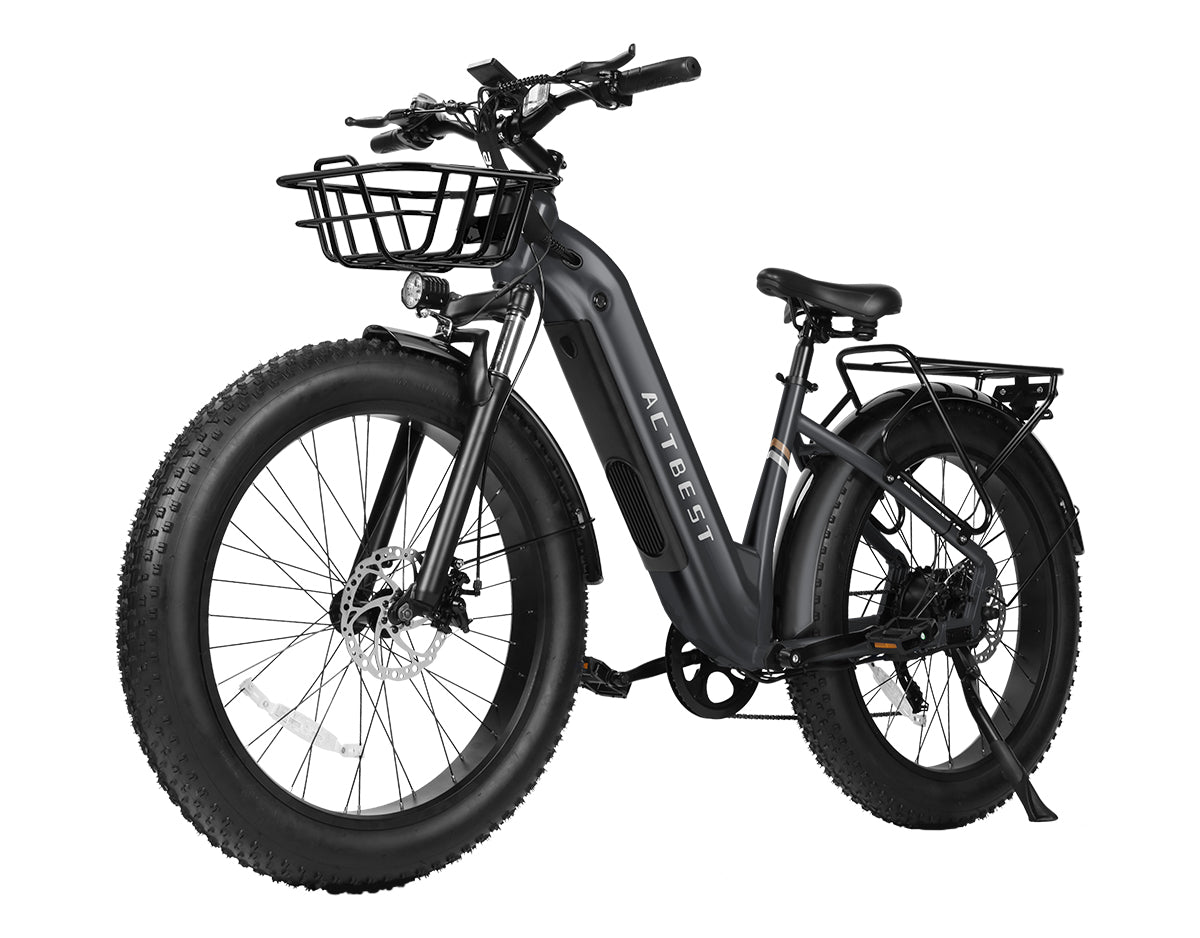 Ranger ST 2.0 All-Terrain Mountain Ebike