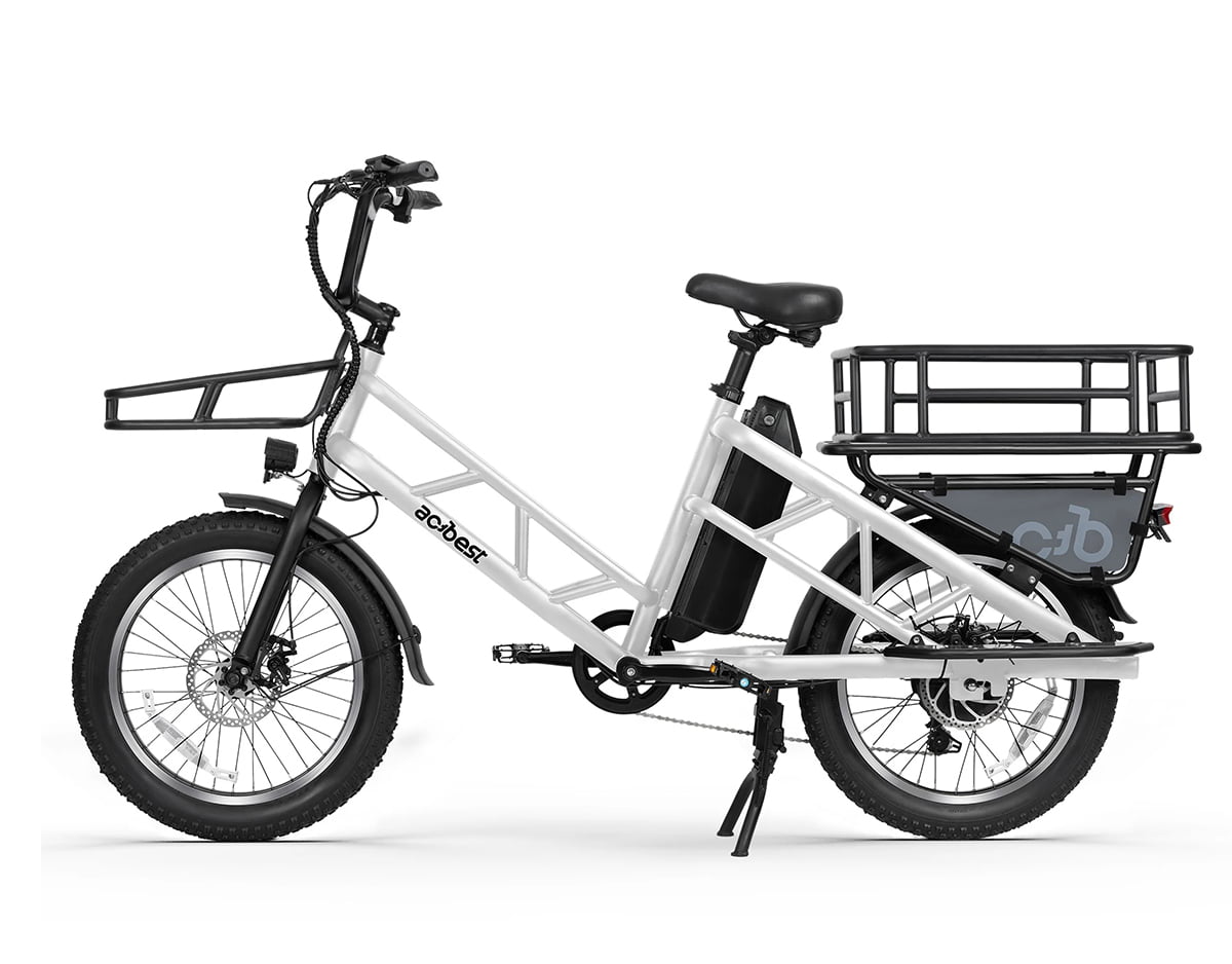 Electric Cargo Long-Range eBike
