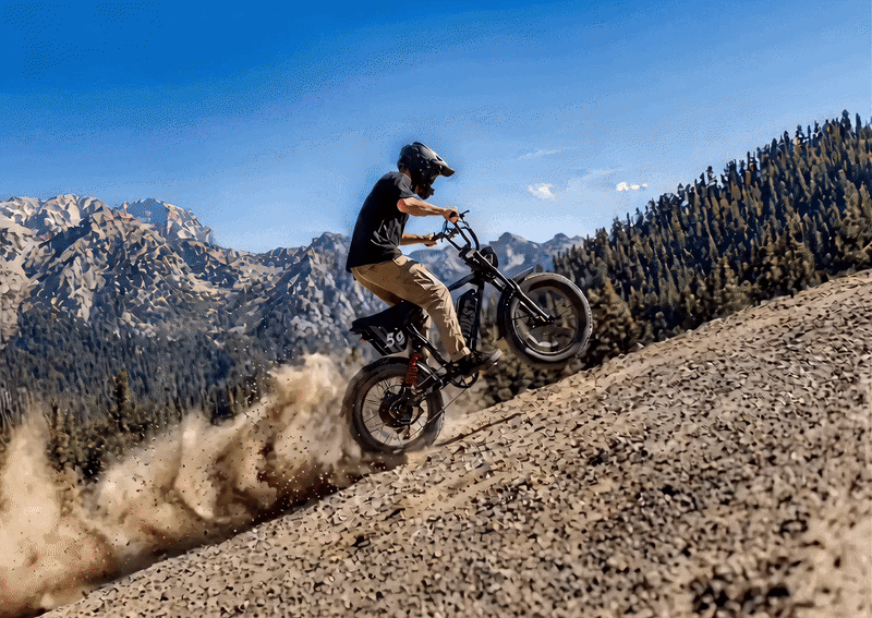 Striker Plus 20"x4.0" 38+MPH Hydraulic Brakes Moped-Style E-Bike