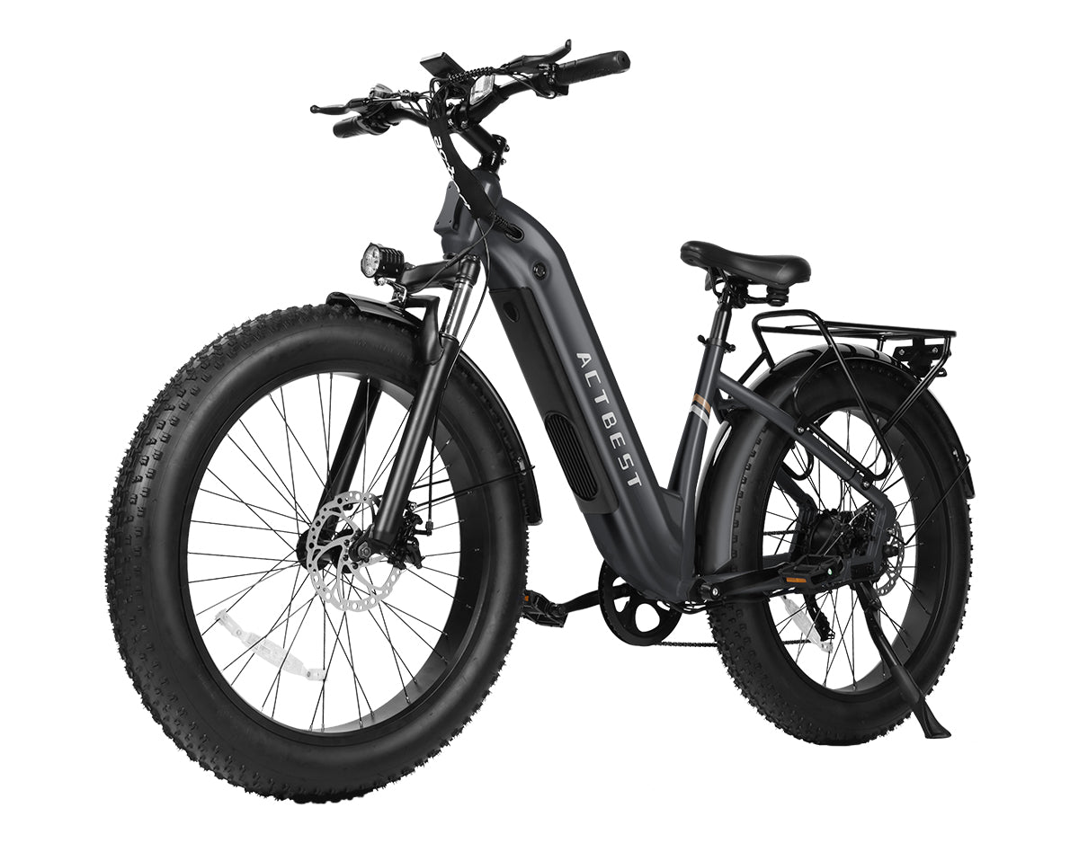Ranger ST 2.0 All-Terrain Mountain Ebike