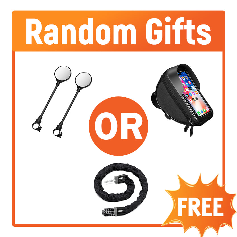 Random Gift (1 per eBike only ,no extras)