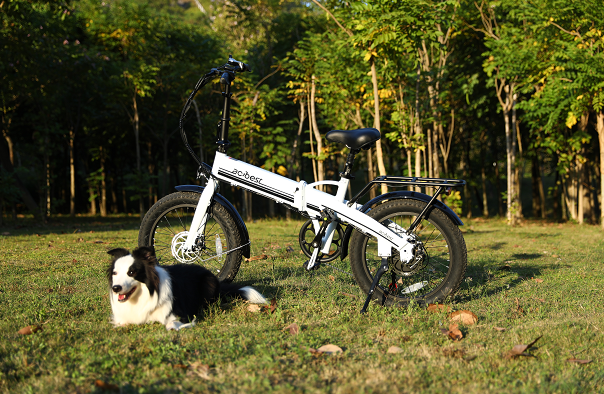 A white folding electric bike next to a black and white dog, with green trees and grass in the background.