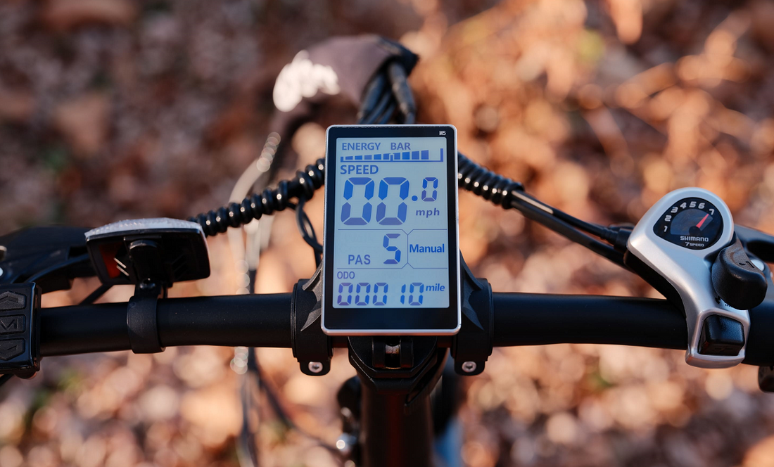 This is a display panel of an electric bike, showing speed, an energy bar, The background features autumn leaves.