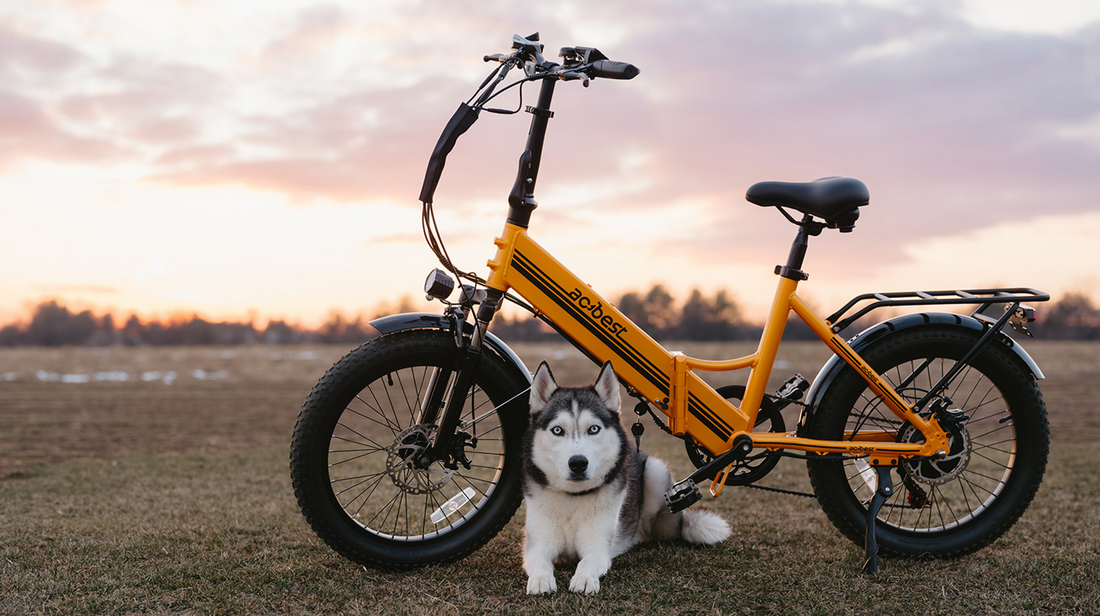 A husky lying under a foldable electric bicycle