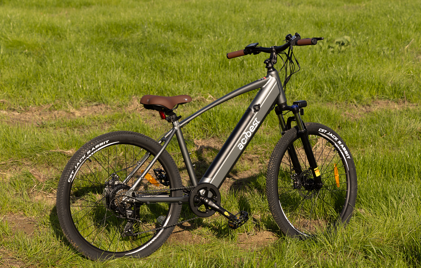 An Aostirmotor electric bike parked on a grassy field